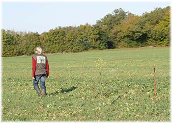 Elevage du CLOS DE LA LUETTE - COPYRIGHT DEPOSE